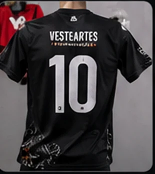 Referência visual de camiseta personalizada 1