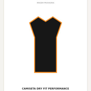 Camiseta Dry Fit Performance