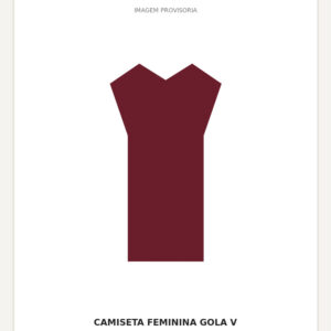 Camiseta Feminina Gola V